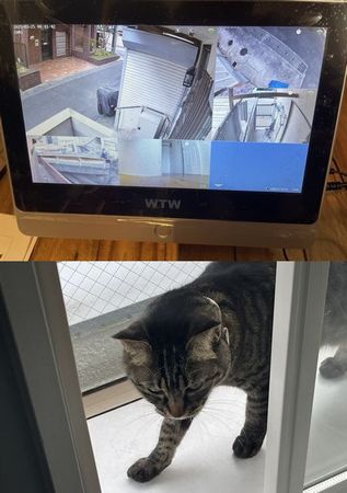施工例写真7