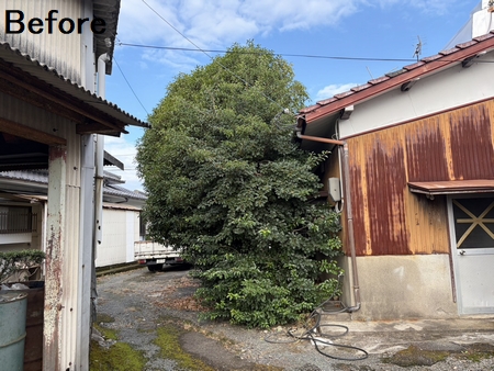 施工例写真5